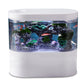 Mini goudvissen aquarium desktop aquarium starterset met LED-licht en filter voor goudvissen geschikt voor thuis/kantoor