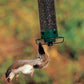 Uitverkoop laatste dag 49%-Proof Bird Feeder